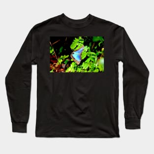 Morphofalter Schmetterling / Swiss Artwork Photography Long Sleeve T-Shirt